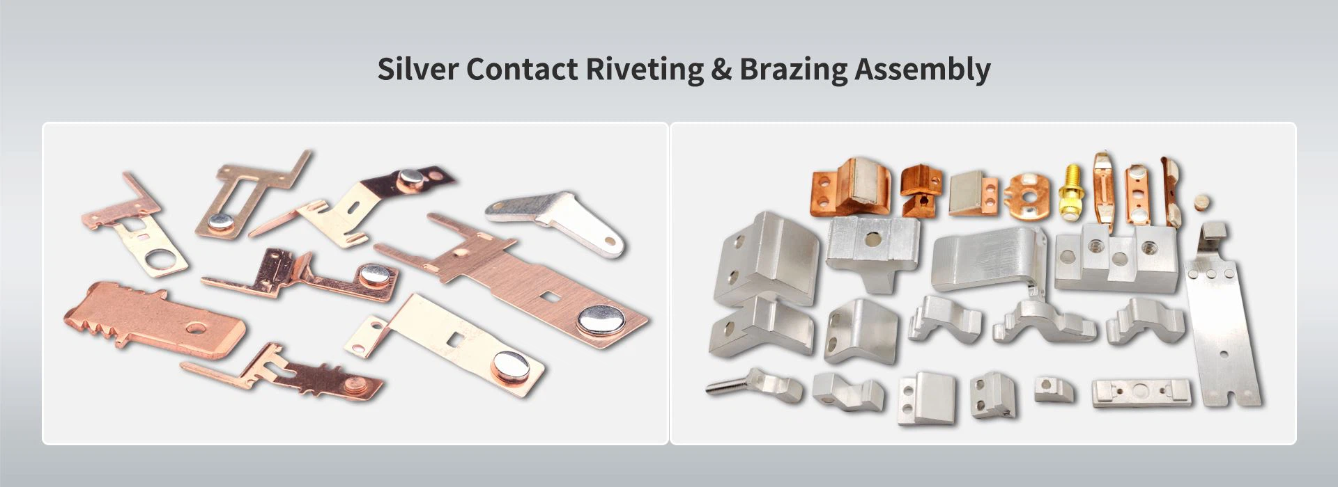 Silver Contact Riveting & Brazing Assembly